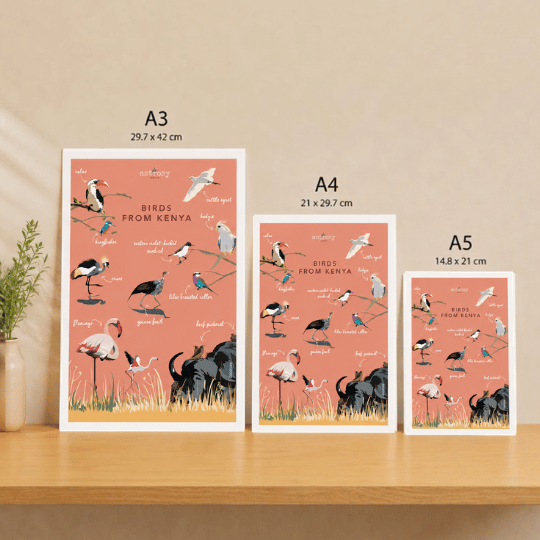 Posters