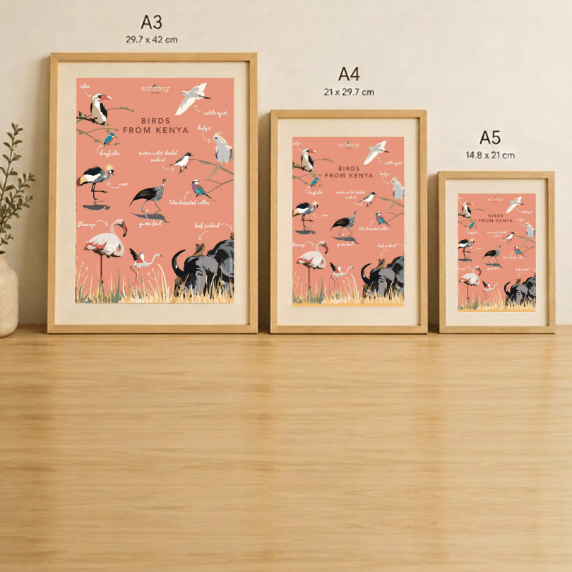 Framed posters