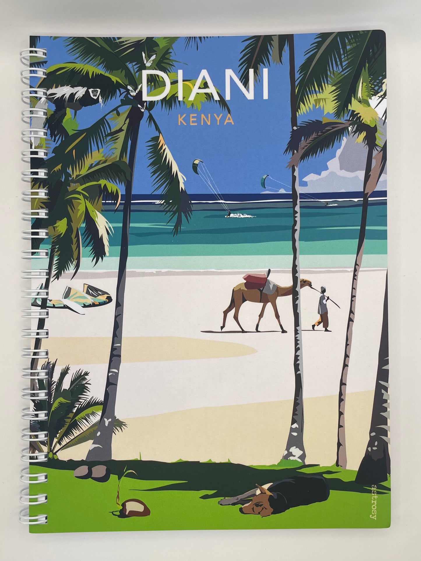 Poster Diani