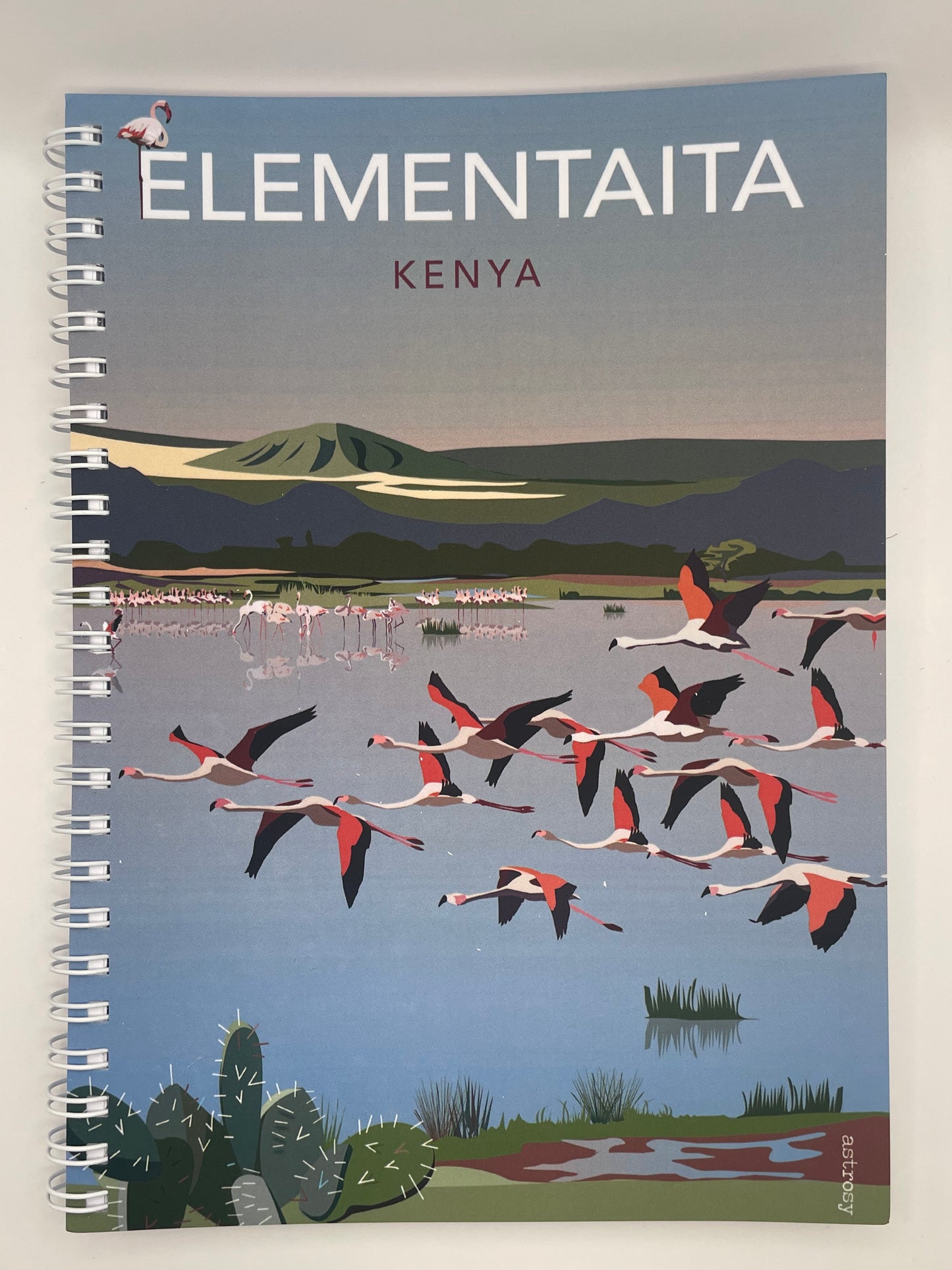 Poster Elementaita