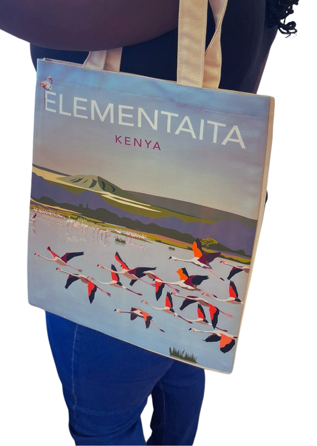 Poster Elementaita